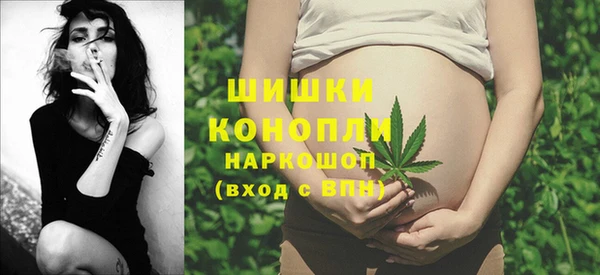 индика Покачи