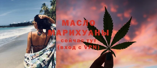 индика Покачи