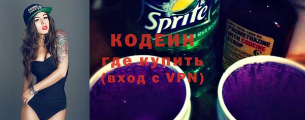прущие грибы Переславль-Залесский
