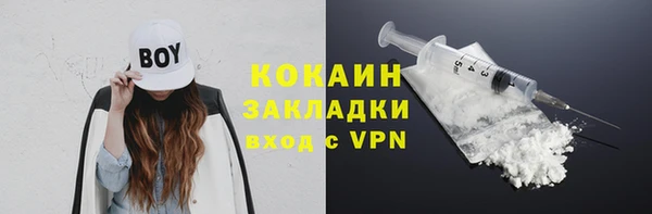 индика Покачи