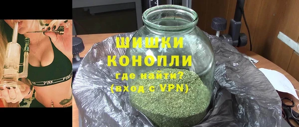 индика Покачи
