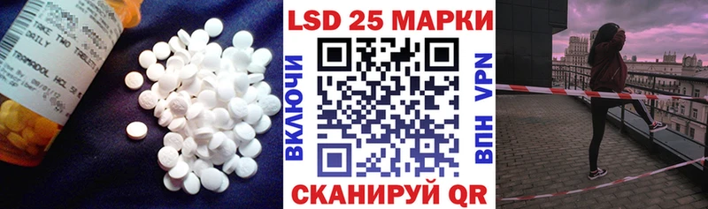 где купить наркоту  Щучье  Лсд 25 экстази кислота 